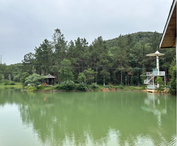 溜索不只属于探险家：向前一步，风会接住你