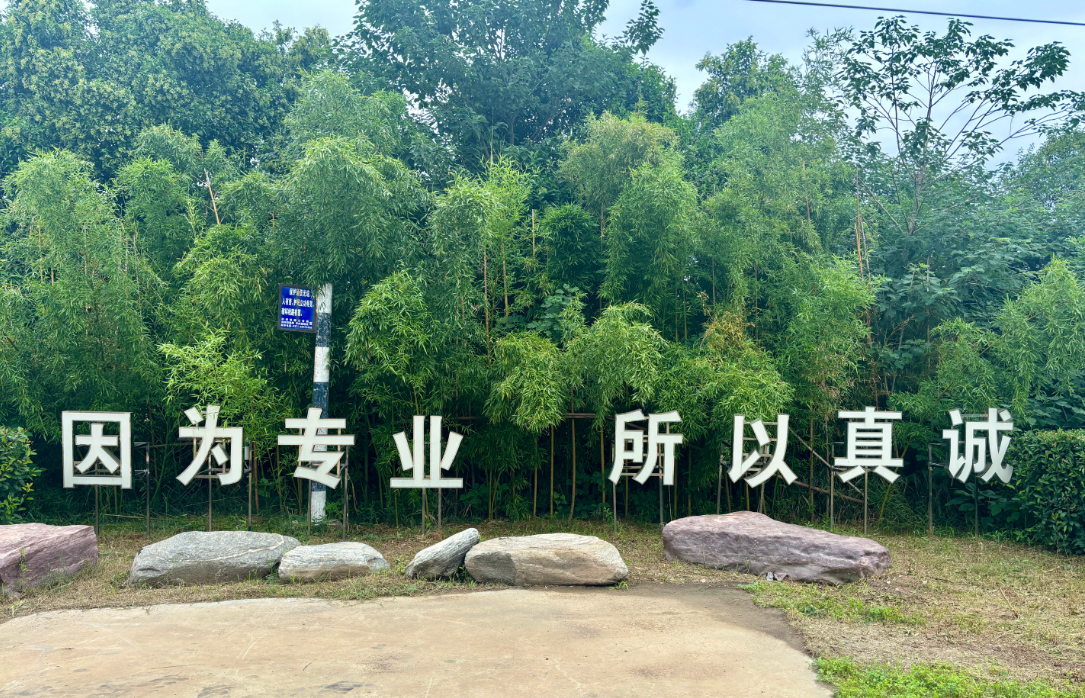 传递价值、凝聚共识 传递价值、凝聚共识