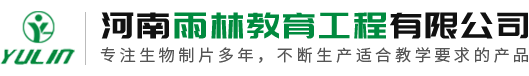 河南雨林教育工程有限公司